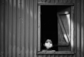 IIP Online Student Photography